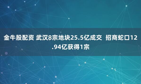 金牛股配资 武汉8宗地块25.5亿成交  招商蛇口12.94亿获得1宗