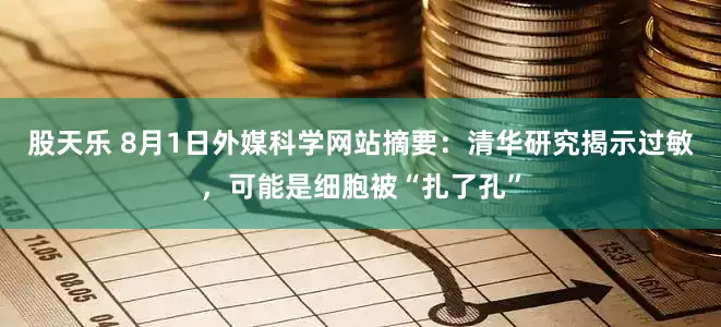 股天乐 8月1日外媒科学网站摘要:清华研究揭示过敏,可能是细胞被“扎了孔”