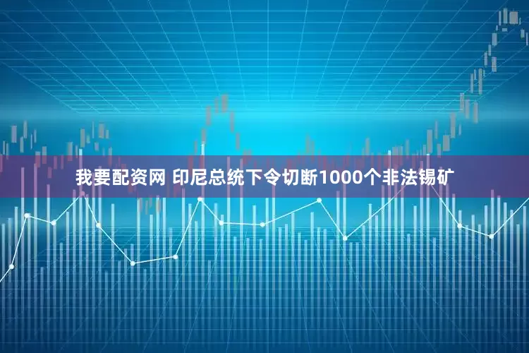 我要配资网 印尼总统下令切断1000个非法锡矿