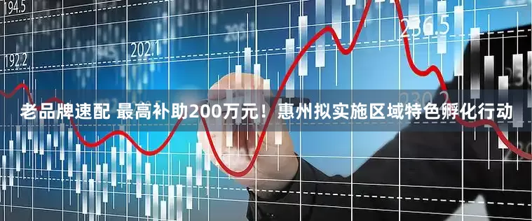 老品牌速配 最高补助200万元!惠州拟实施区域特色孵化行动
