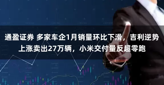 通盈证券 多家车企1月销量环比下滑，吉利逆势上涨卖出27万辆，小米交付量反超零跑